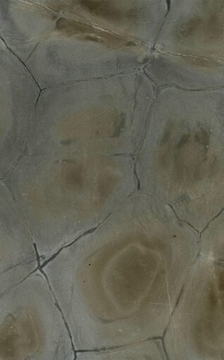 Tartaruga granite